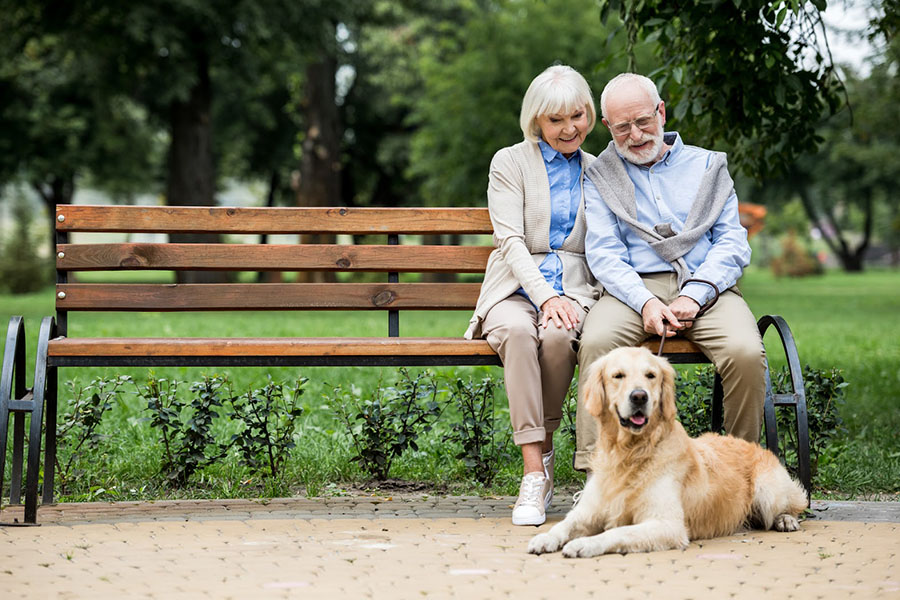 A senior couple embrace while sitting on a park bench with their pet dog