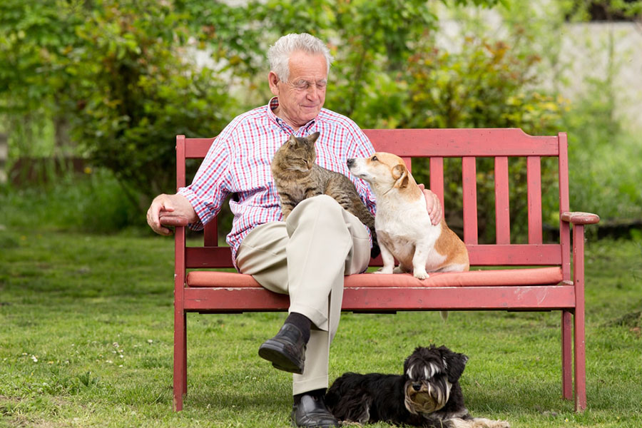 Older man with pets on bench in a peaceful yard, symbolizing memory care near Aspen Hill, Maryland Older man with pets on bench in a peaceful yard, symbolizing memory care near Aspen Hill, Maryland
